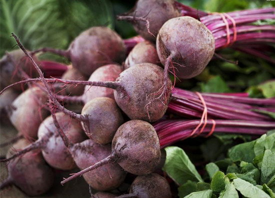 根菜类蔬菜有哪些？代表菜品种