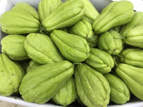 果菜类蔬菜有哪些?