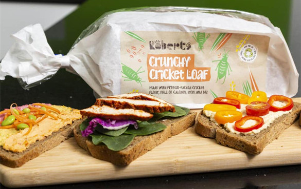 面包店推出英国第一款由数百只蟋蟀制成的昆虫