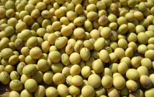 吃大豆有什么好处和坏处？