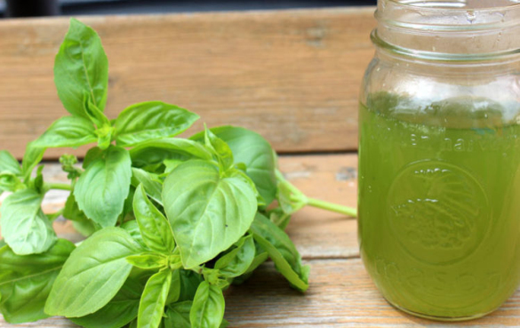 罗勒茶 泡茶的方法:泡茶水温多少度合适?