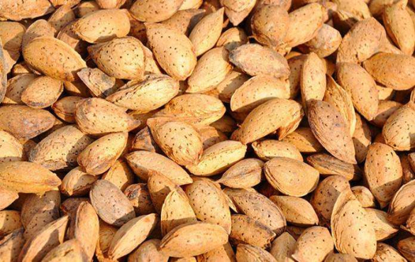 杏仁 干果的营养价值和健康功效,有什么副作用?