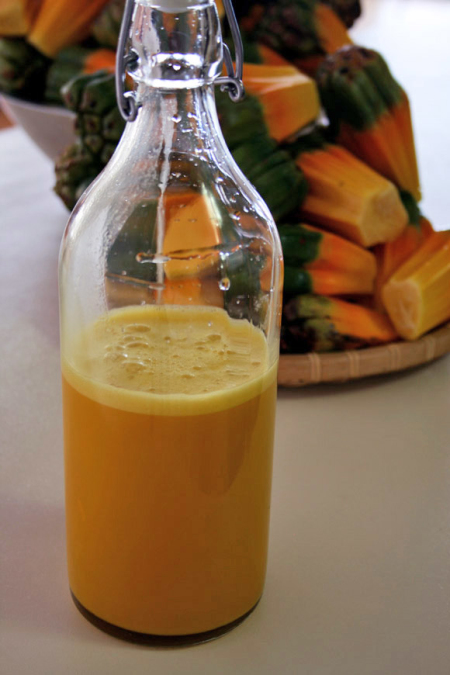 露兜树 露兜树的功效与作用