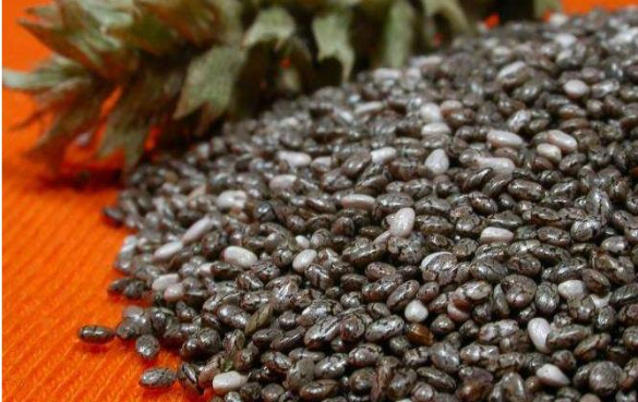 奇亚籽 奇亚籽油的功效与作用