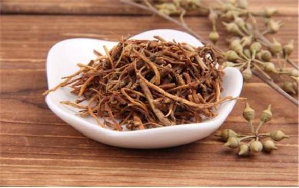 龙胆根 龙胆根的功效与作用,有什么副作用?