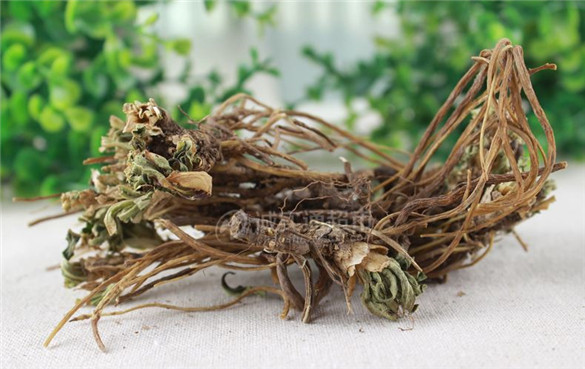 龙胆根 龙胆根的功效与作用,有什么副作用?