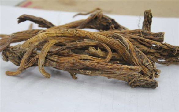 龙胆根 龙胆根的功效与作用,有什么副作用?