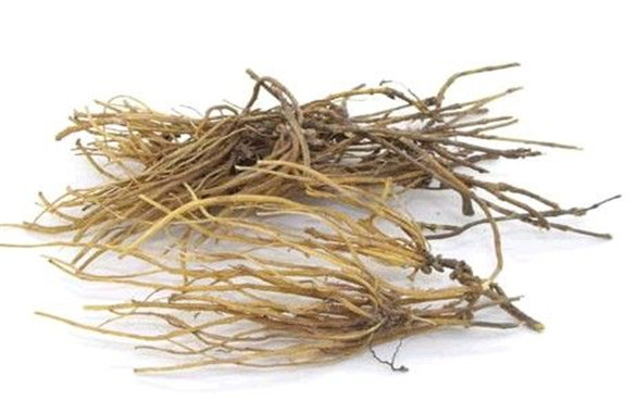 龙胆根 龙胆根的功效与作用,有什么副作用?