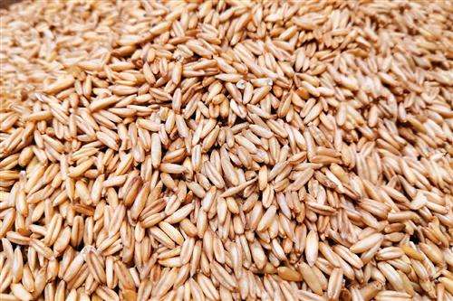 燕麦 吃燕麦和燕麦片对健康的9大好处