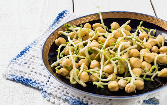 鹰嘴豆芽 能吃豆芽的种类有哪些?