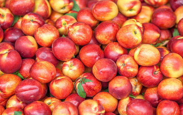 油桃的功效与作用，有什么禁忌？