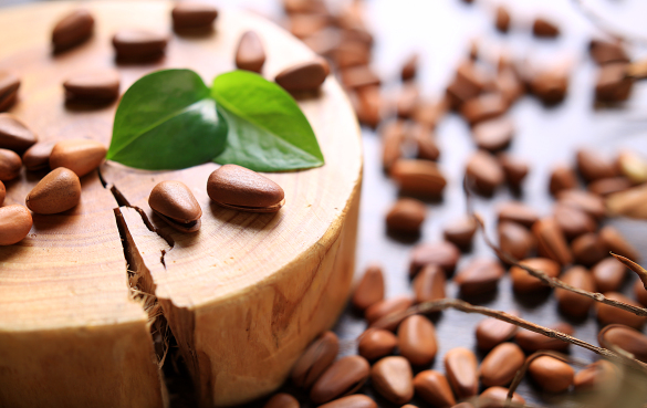 松子 松子的功效与作用,有什么营养价值?