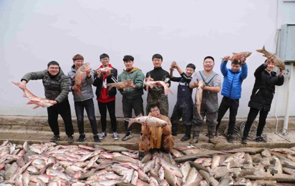 武汉生物工程学院举办春鱼宴：学校养殖，学生亲手烹饪