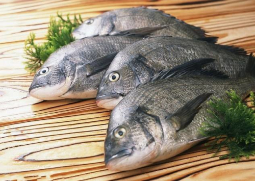 如果你不喜欢吃鱼,你可能是全球变暖的粉丝