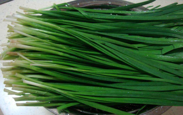 韭菜 草本植物的营养价值和功效