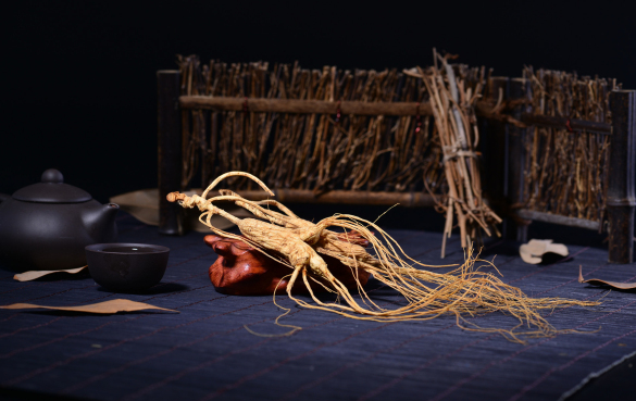 人参 人参的功效和作用