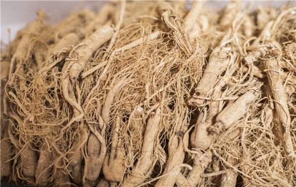 人参 人参的功效和作用