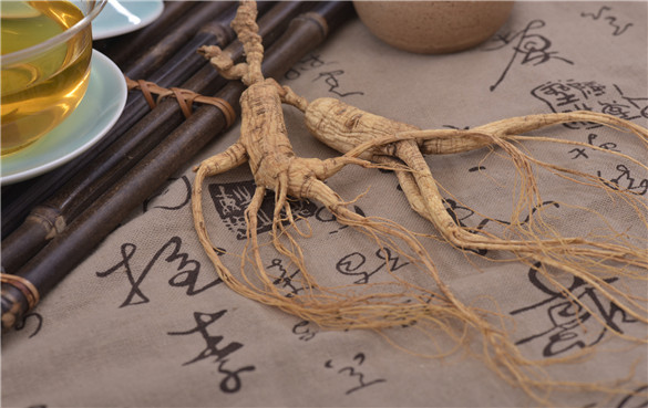 人参 人参的功效和作用