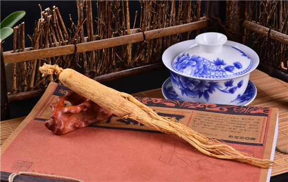 人参 人参的功效和作用