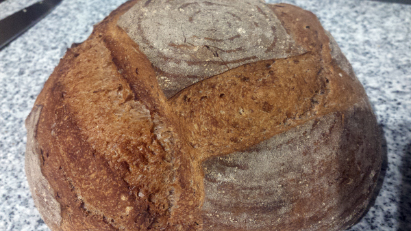 苔麸 苔麸是什么?有什么健康功效和作用