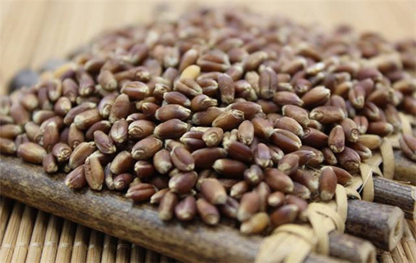 黑麦 黑麦的营养价值和功效作用