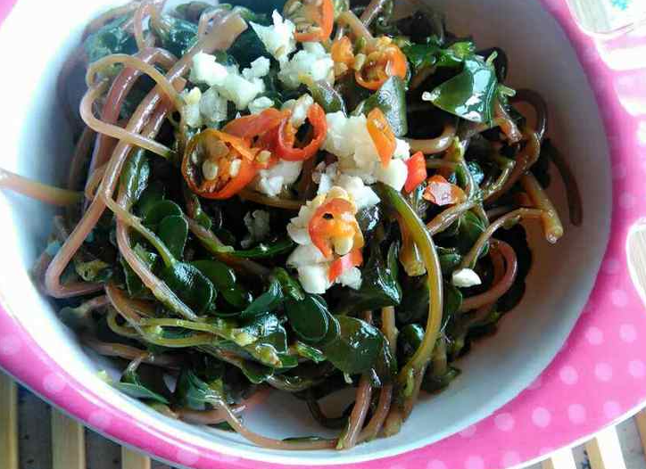 隐藏于山间的宝藏——马齿苋_食疗