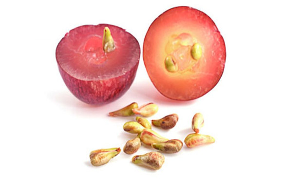 葡萄籽 葡萄籽的10个功效与作用,葡萄籽提取物有副作用吗?