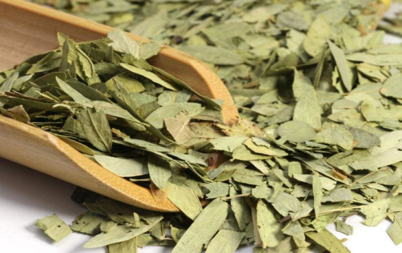 番泻叶 番泻叶茶的功效与作用,可以每天喝吗?