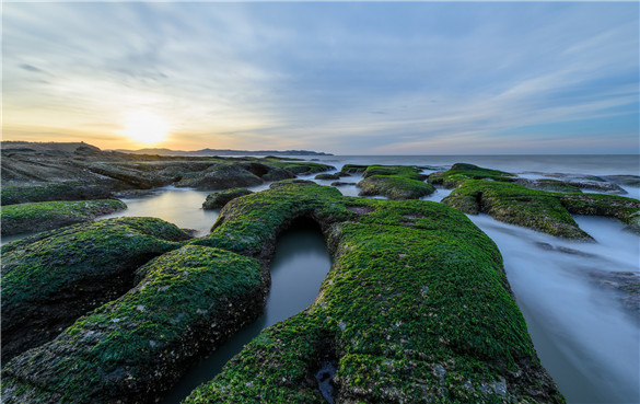 小球藻的功效与作用