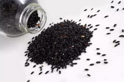 芝麻 黑芝麻的功效与作用