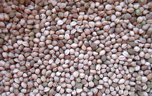 Omega-3脂肪酸的最佳来源有哪些?