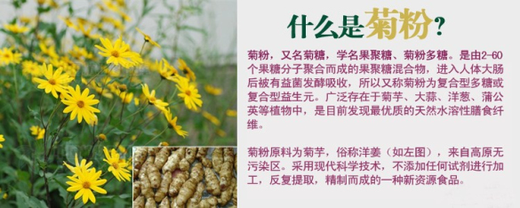 菊粉的8个功效与作用_吃菊粉有什么副作用？
