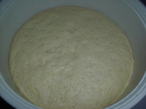 酵面的种类-嫩酵面的做法