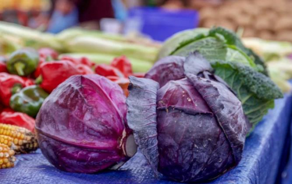紫色卷心菜 紫色食品有哪些?紫色果蔬的营养价值和功效