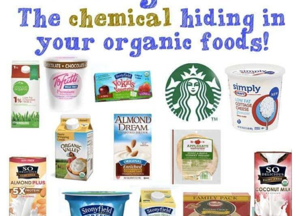 卡拉胶 卡拉胶是什么做的?鹿角菜胶的功效作用与危害