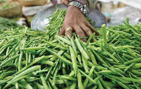 瓜尔豆 瓜尔胶是什么?吃了瓜尔豆胶对身体有害吗?