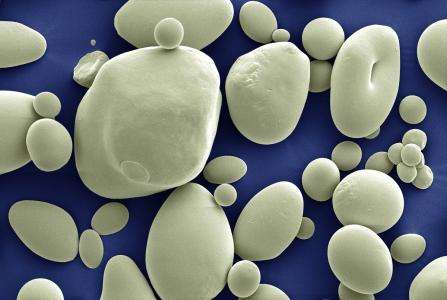 高筋面粉可以做什么？与一般面包粉有什么区别_西点烘焙培训