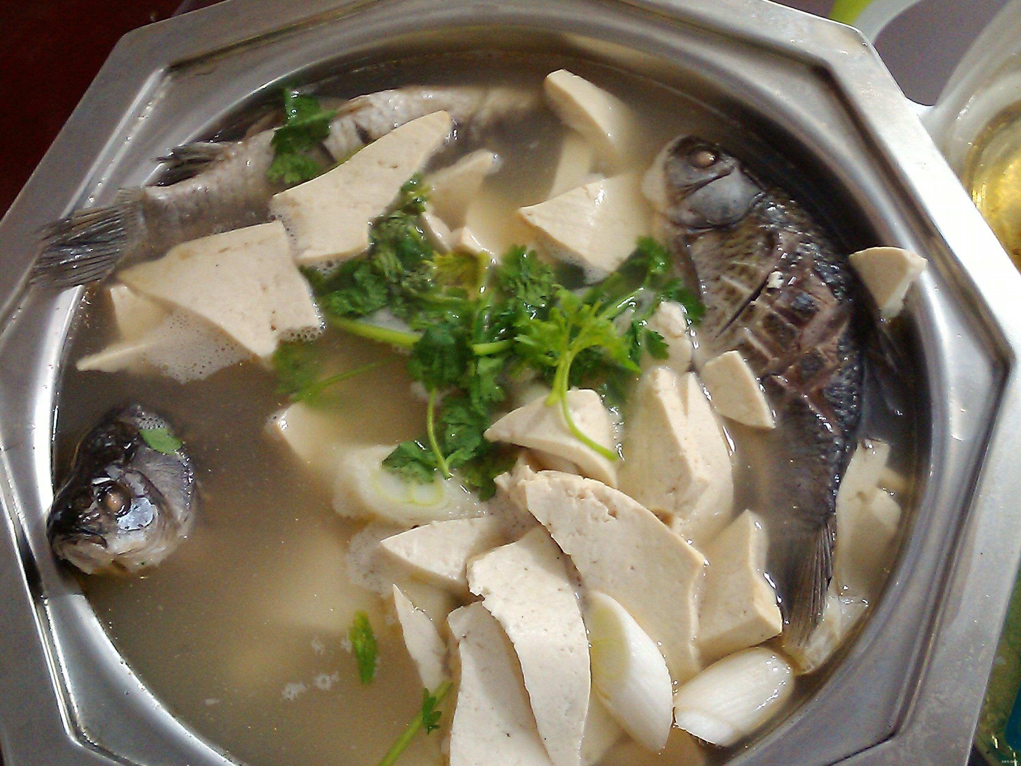 鲫鱼的营养价值和功效_豆瓣鲫鱼的做法_烹饪技巧